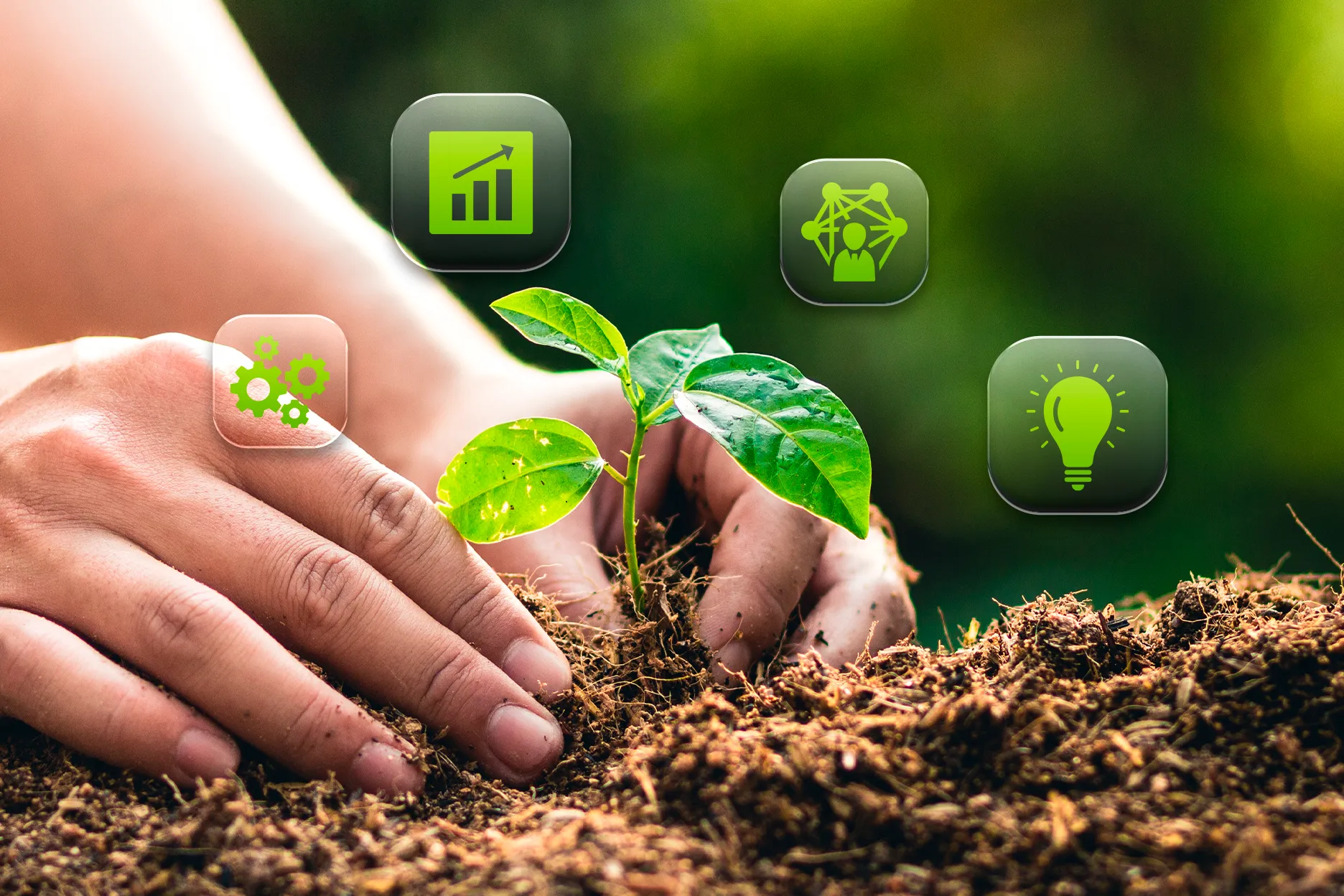 Importância da pesquisa